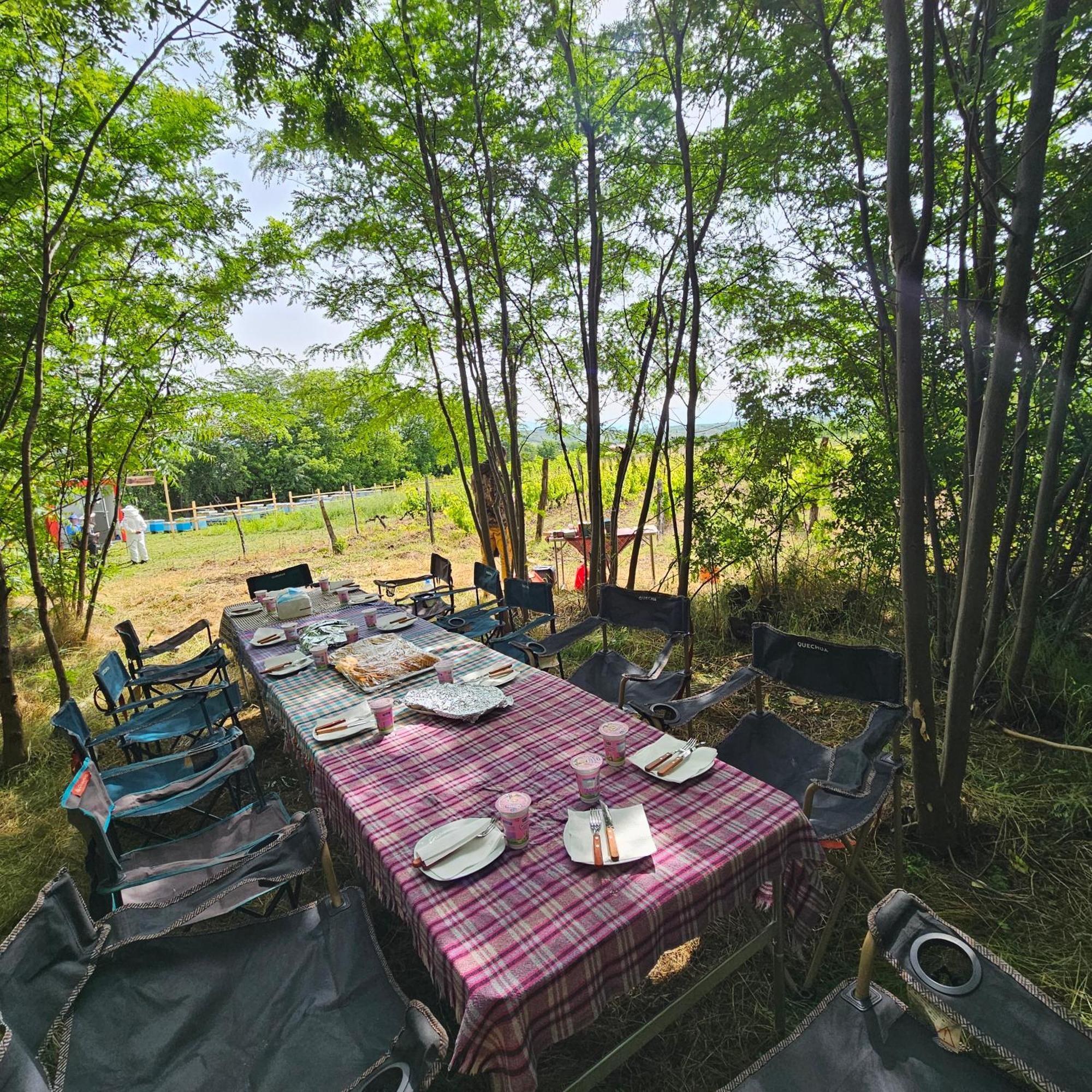Arаbeska Family Winery & Apartments 카바다르시 외부 사진